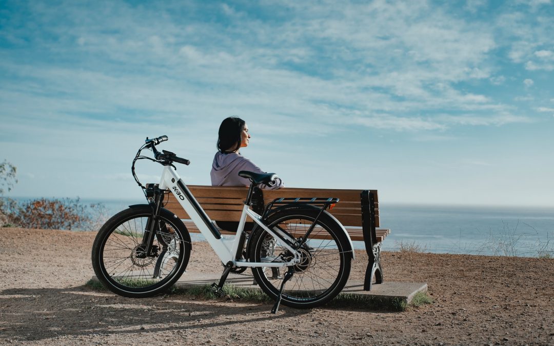 Quels sont les criteres pour choisir son velo electrique ?